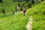 2014-07-05_Laengental-N-Hochweg (880). JPG